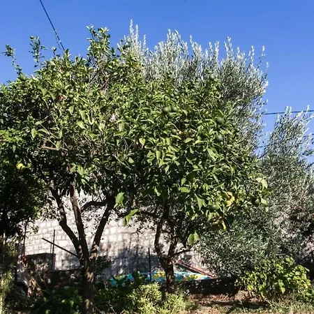 Saul - Double Or Twin With Terrace And Sea View Cavtat